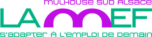 LAMEF_logo